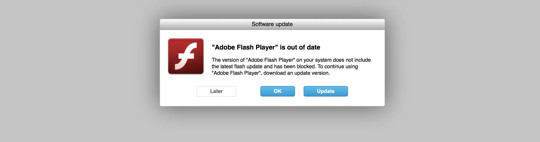 flash player update