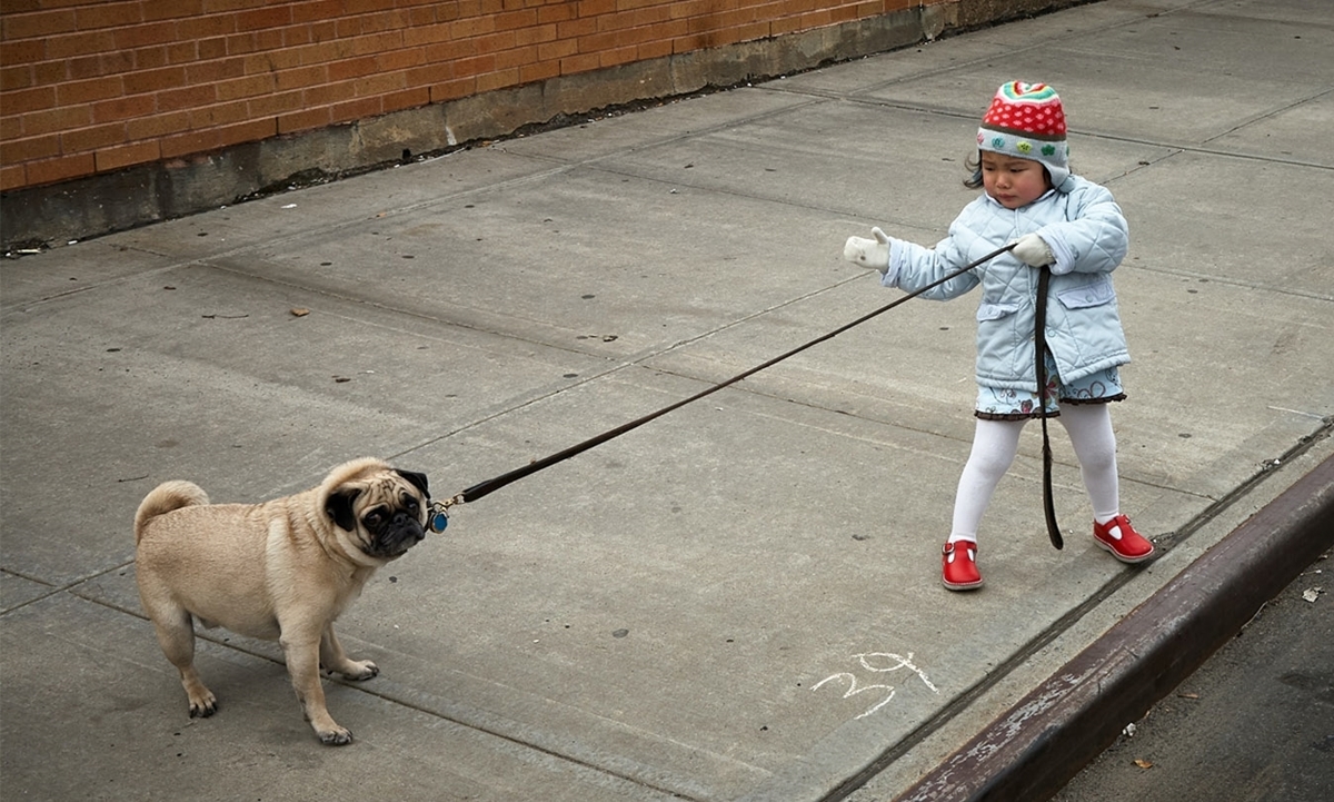 hoe houd je bezoekers op je website