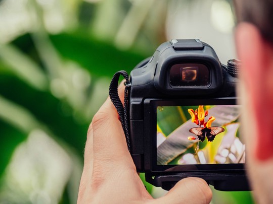 cameratoestel