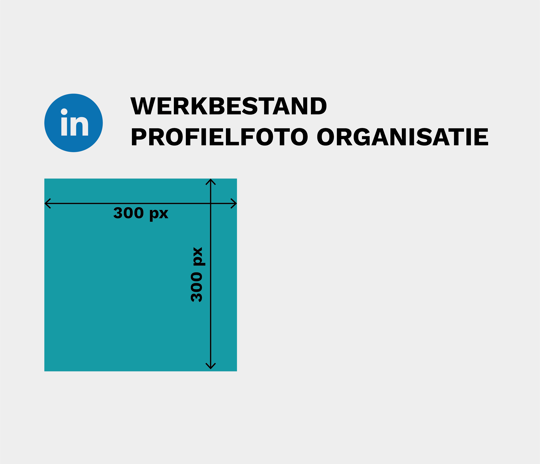 werkbestand profiel organisatie of bedrijf