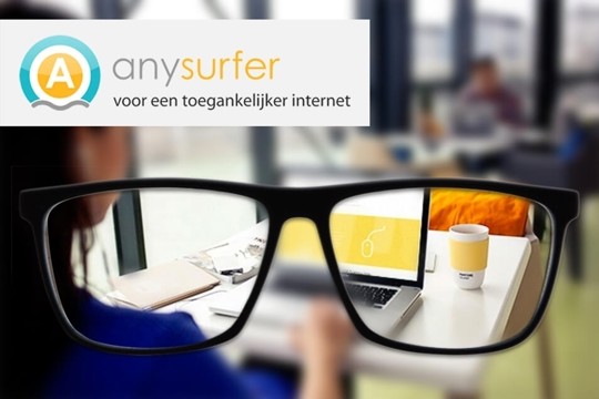 anysurfer website